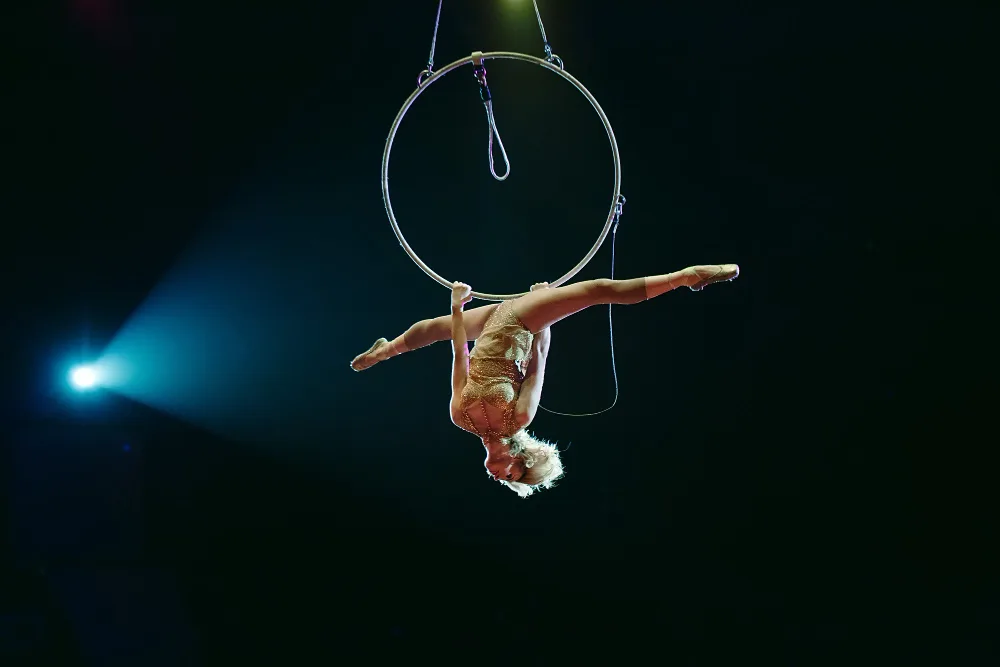 Circo — Panorama Cultural