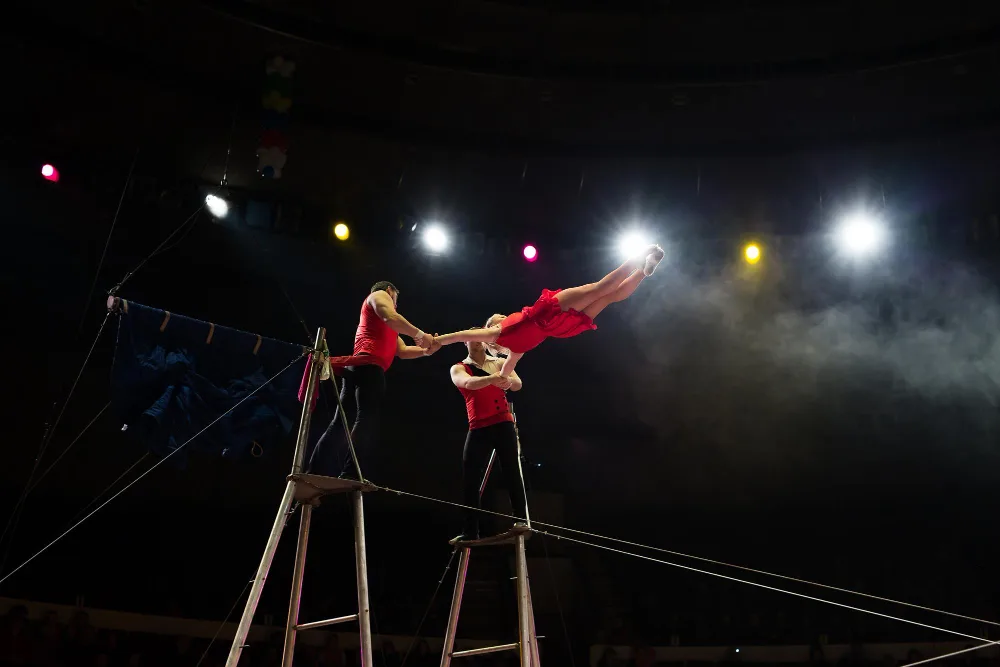 Circo — Panorama Cultural